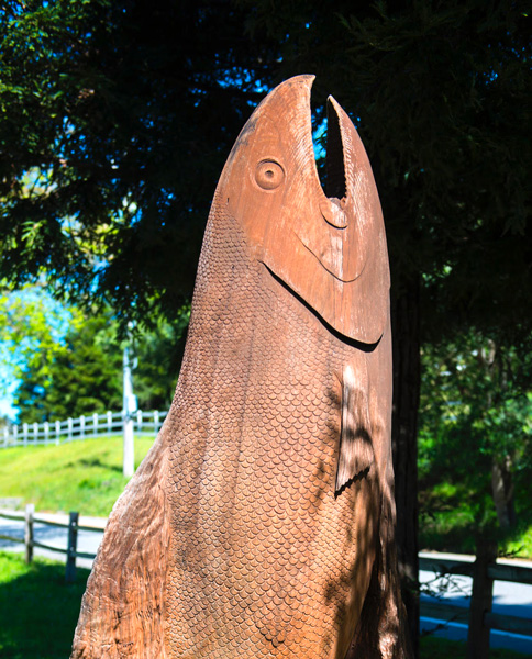 scotts valley wood fish